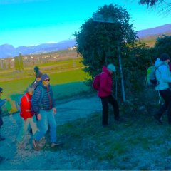 P1170054   Loc.tà Caldanelle.